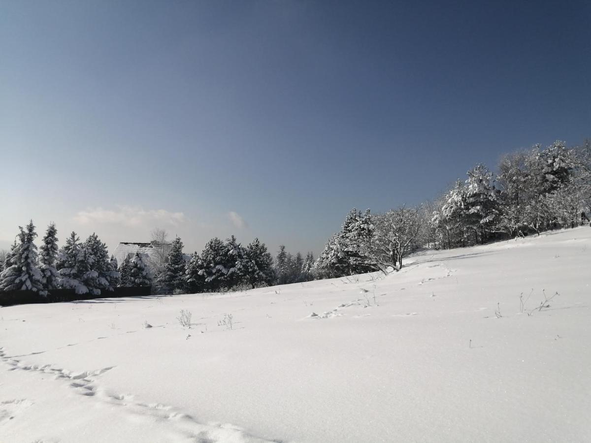 Goralska Ostoja Villa Pcim Dış mekan fotoğraf